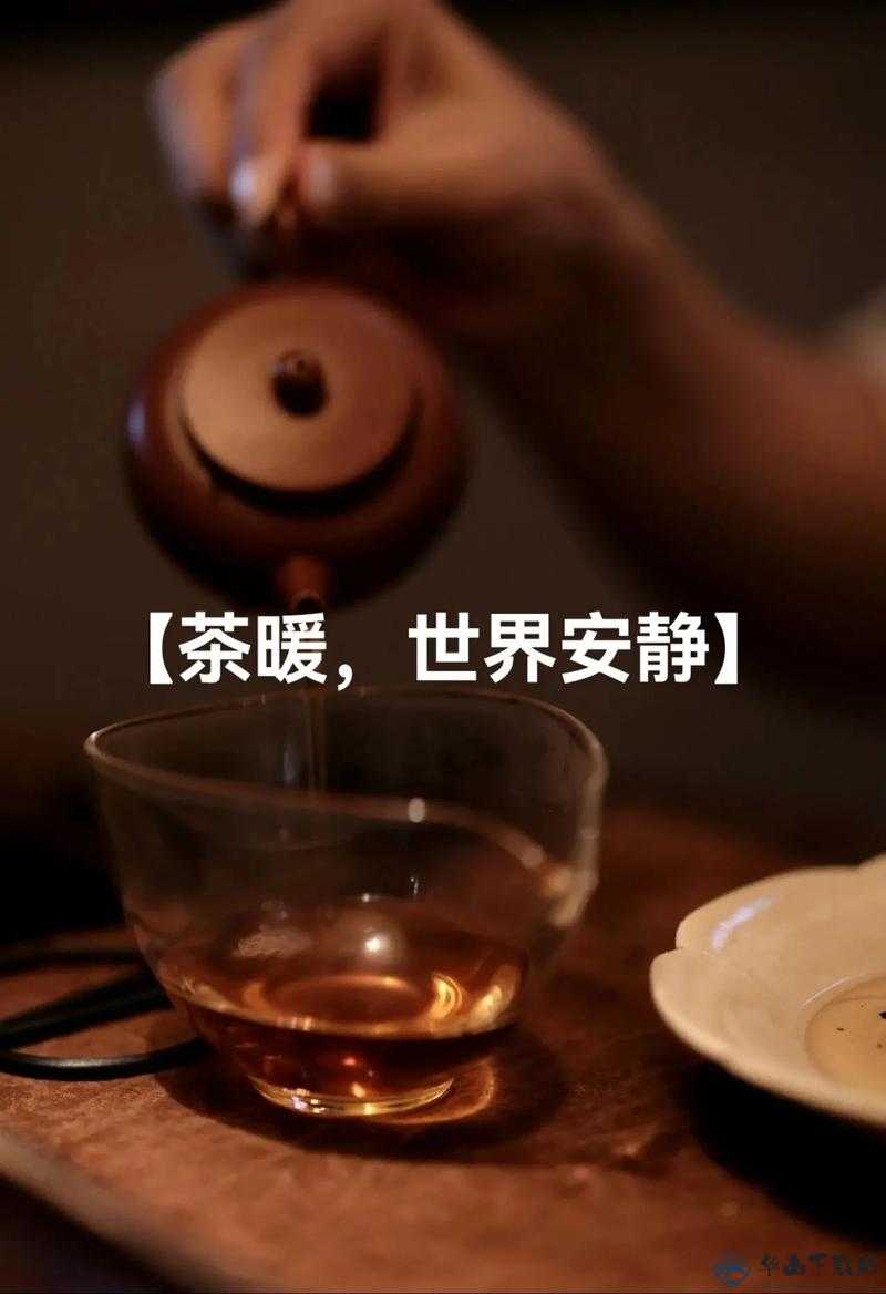 温茶 poH ：品味茶香的宁静时光