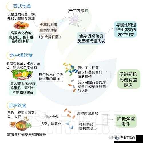 超级肉禽系统情节分析-深度解读与探究