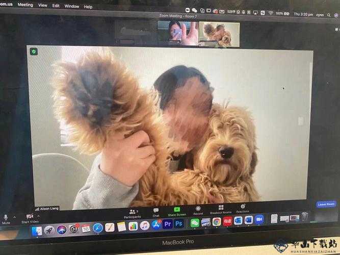 中国 zoom 人狗 app：独特视角探索人与狗的世界