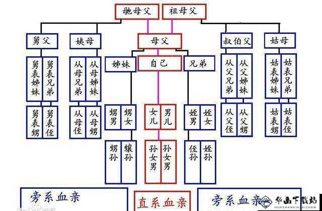 爸的比老公大两倍儿媳妇怎么称呼之探究