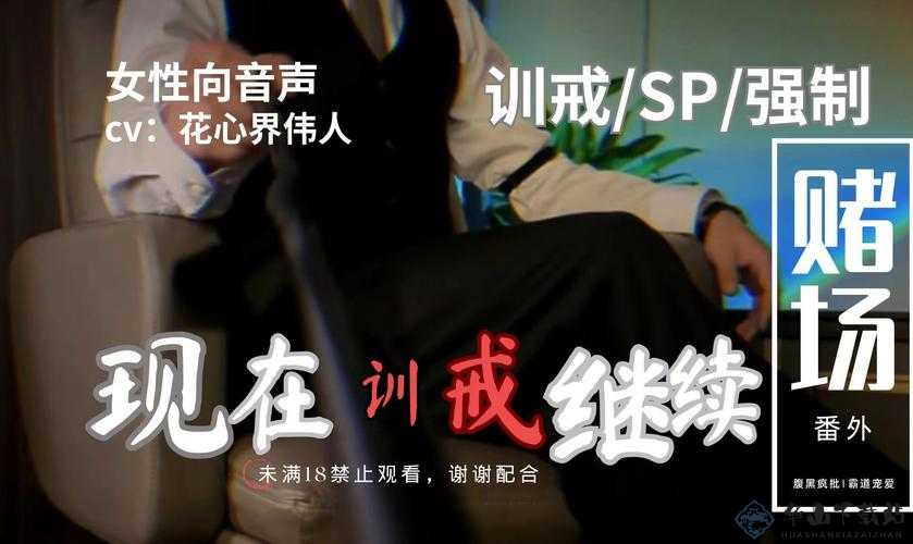 金牌惩戒师 SP 实验教程：实用技巧分享