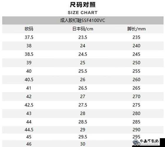 欧洲尺码日本尺码专线发布：全新服务开启