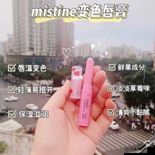 蜜丝婷大草莓和小草莓对比：差异解析