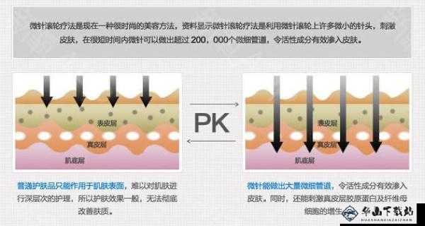 水乳交融VS天衣无缝的区别：深度剖析对比