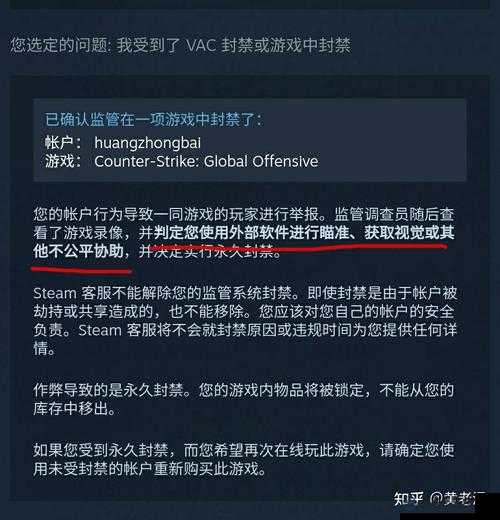 55 岁大妈玩 csgo 被封打不开：这可咋办