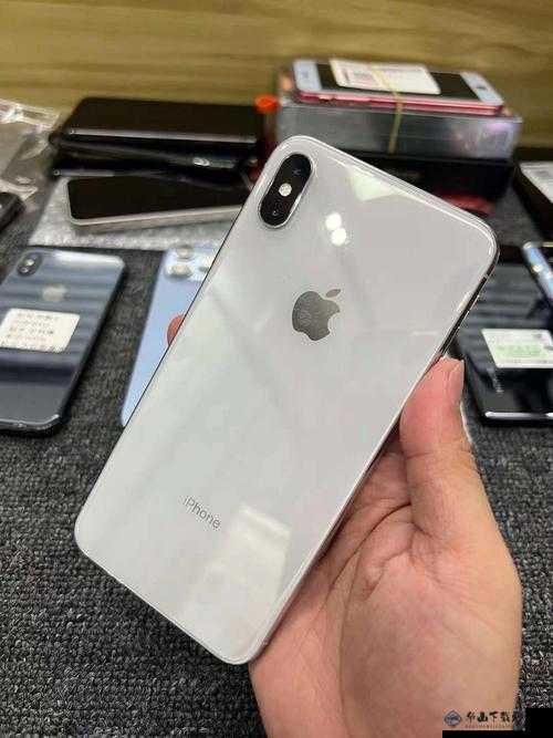 欧美 IPHONEXSMAX 免费大放送：你还在等什么？