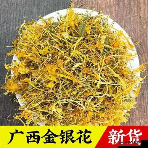 银色器物 TXL 金银花：材质特点大揭秘