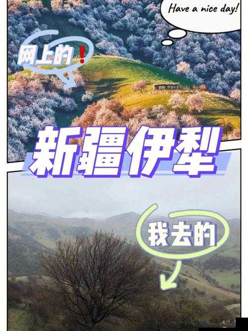 已满十八，就此转入伊犁