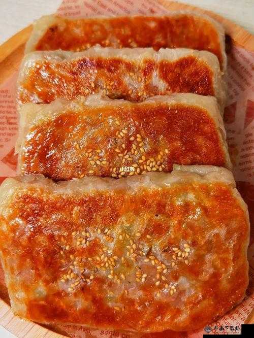 萧氏四兄弟的美酥肉饼 96：香酥可口的美味