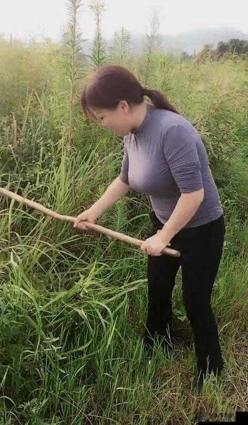 农妇肉体 AABBwHBBw：乡村生活的真实写照