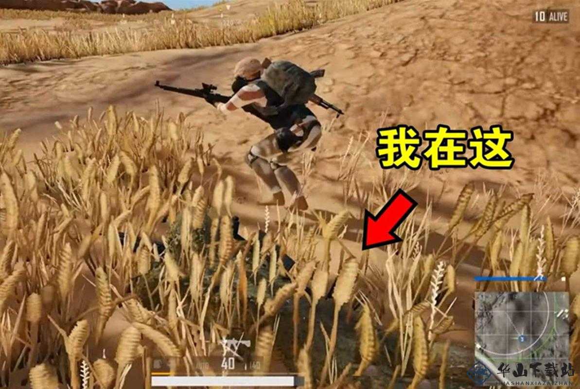 PUBG手游制裁伏地魔选手，解决你