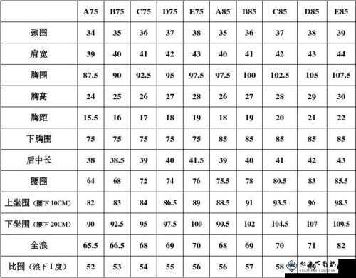 欧洲多尺码 3538：多种选择适合你