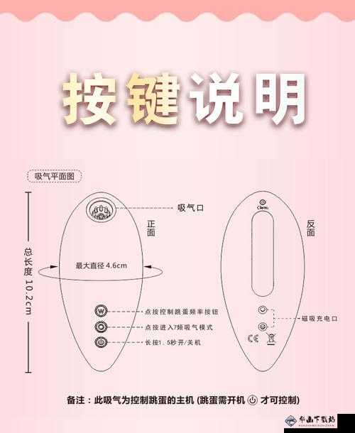 双跳dan怎么用放在哪：使用与放置的详细指南