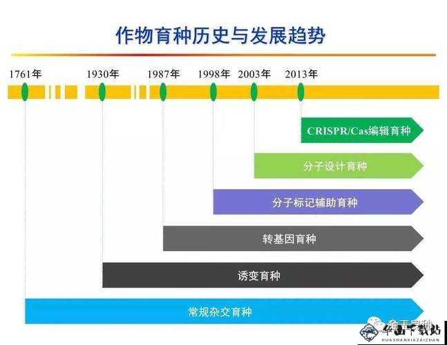 全球日种子培育全攻略：从收容到繁荣成长