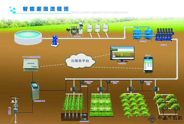 精准灌溉系统y液收集系统：创新农业发展的关键