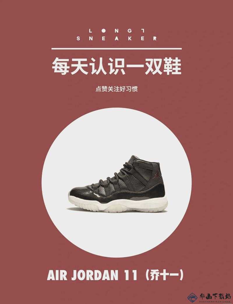 宿舍 AJ11 飞机：带你领略独特魅力